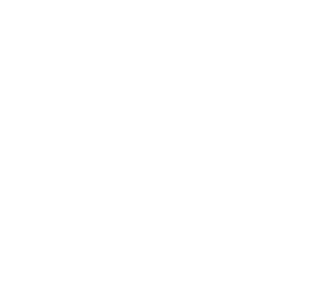 AntBrain